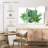 Harnek Pleasing Succulent Plants-107980688