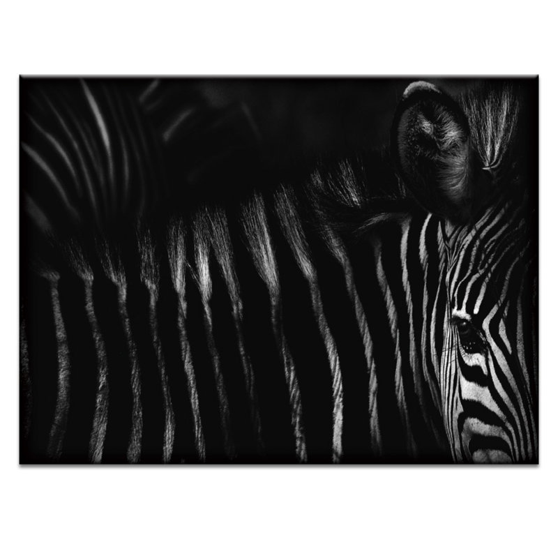Wrapped Canvas Print, 41cm H x 51cm W