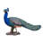 Peacock Garden Statue