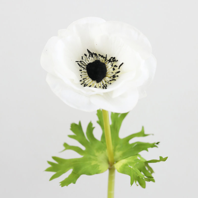 Real Touch Anemone Faux Floral, White