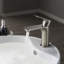 Robinet pour salle de bain à un trou en nickel brossé Blossom-36585962
