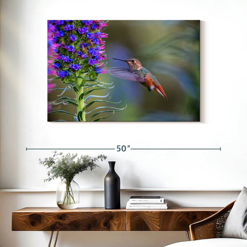 Brampt Hummingbird Feasting