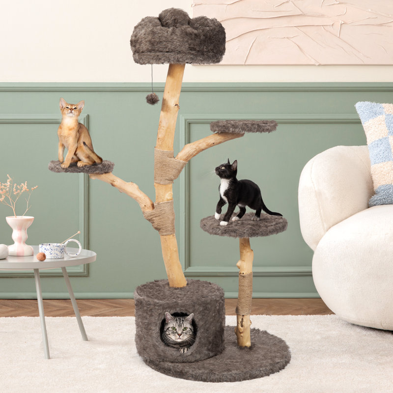 Maison de chat pour chats d'intérieur