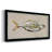 " Fresh Fish Study I "-1048550018