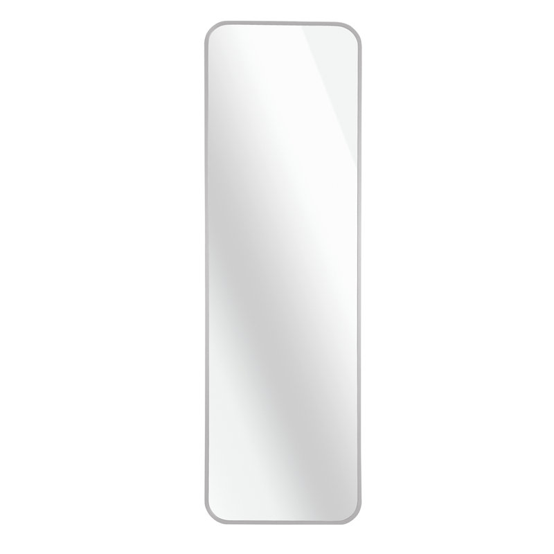 47 X 14IN Door Mirror, Silver, 14.06" x 47.06"