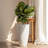 Tall Large Round Planters 2 Pack, Large Planter Pots for Front Door-323520581-361631839