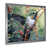 Silver Single Picture Framed