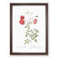 Red Roses by Pierre-Joseph Redoute - Picture Frame Painting Print-55598611-55598619