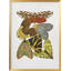 Nature Inspired " 6" Framed Print Wall Art-641987907