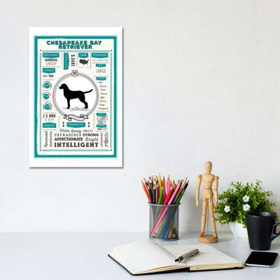 Chesapeake Bay Retriever Infographic Blue by PaperPaintPixels - Wrapped Canvas Print