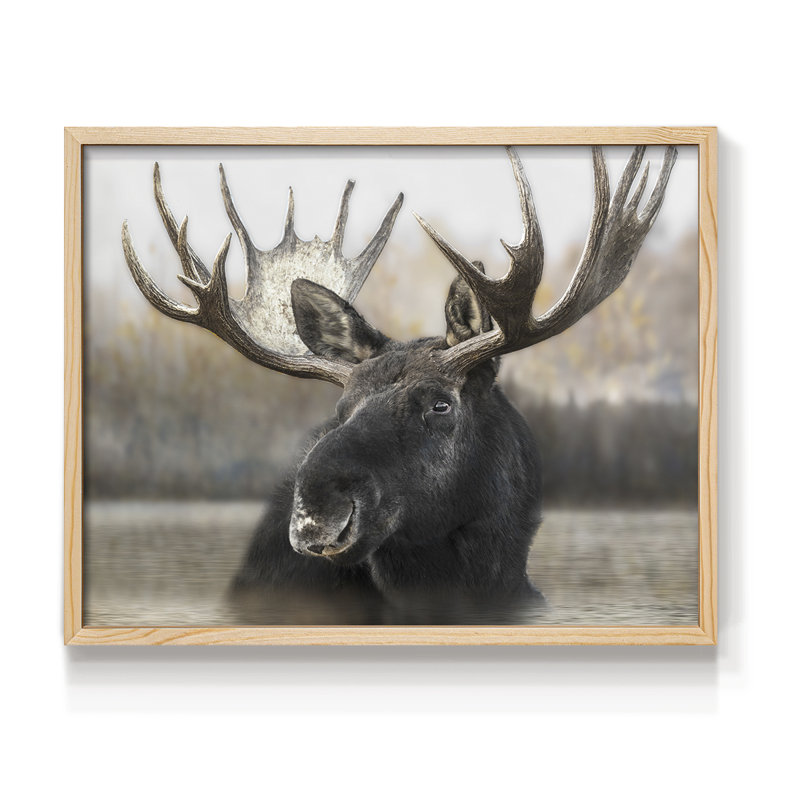 Moose Spa - reproduction encadrée - réarmable, H 8 po x l 10 po, Naturel