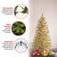 First Traditions'' 6 Ft. Arcadia Cashmere Pine Slim Tree With Clear Lights-1338775813