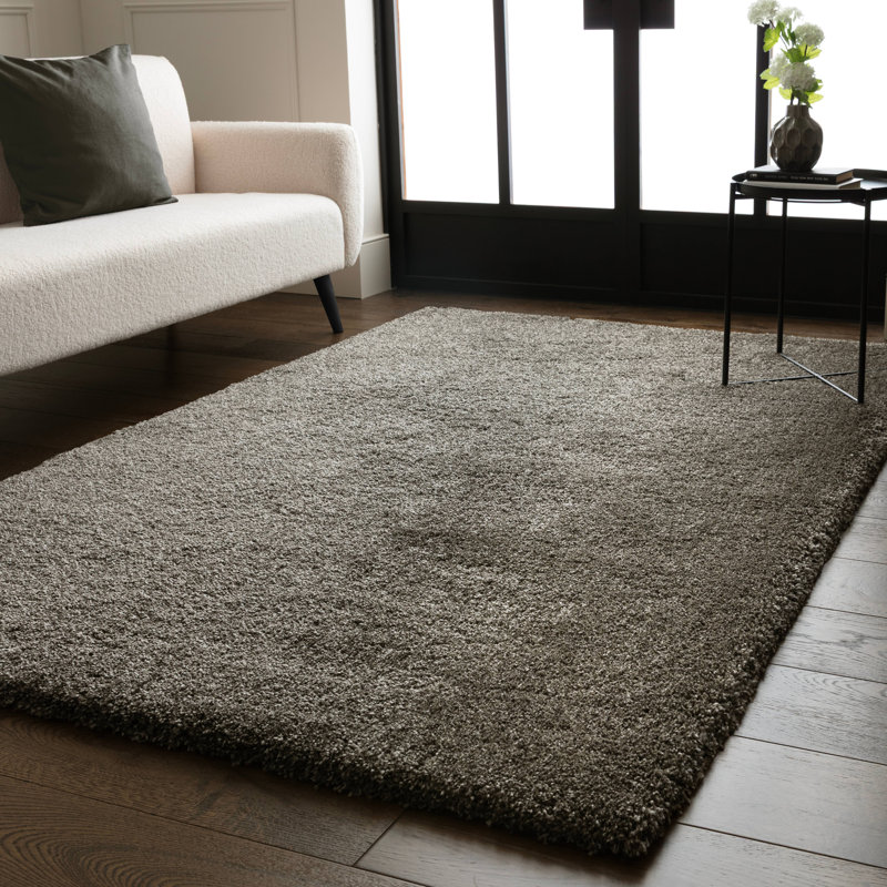 Taiwo Shaggy Taupe Area Rug, Rectangle 80 x 150 cm