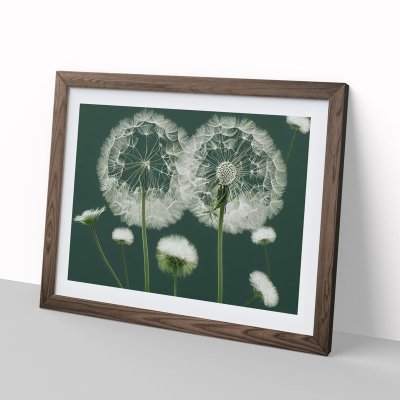 Blooming Dandelion Flowers - Single Picture Frame Print, 46cm H x 64cm W x 2cm D, Walnut