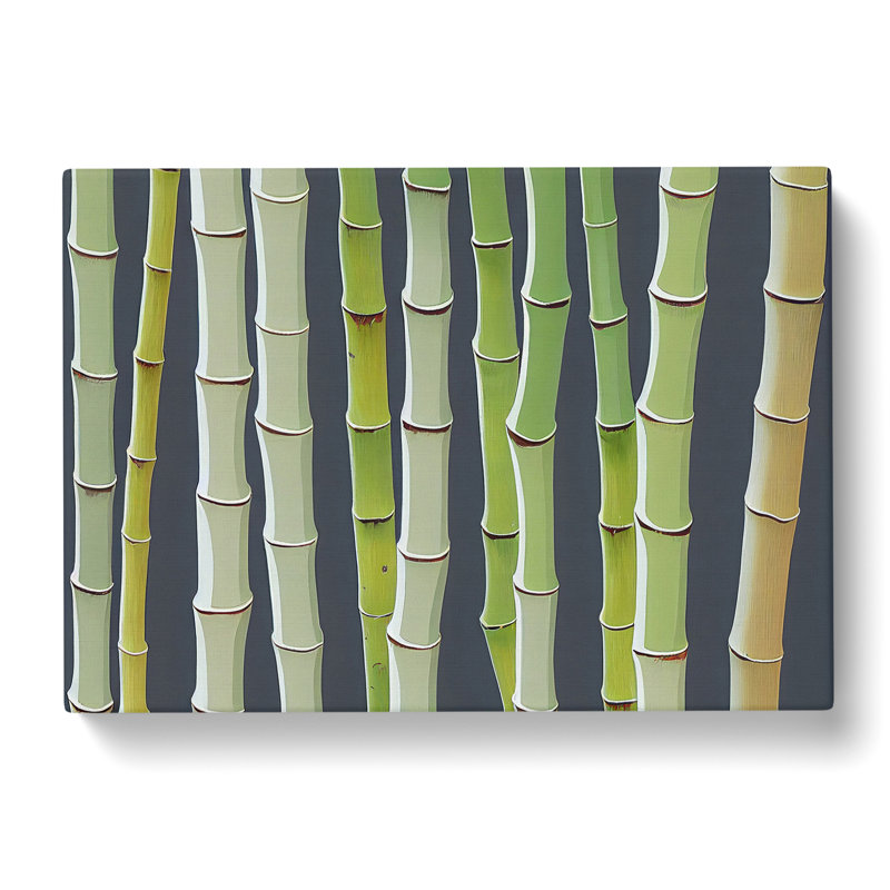 Beauteous Bamboo Forest - Wrapped Canvas, 50cm H x 76cm W x 3cm D