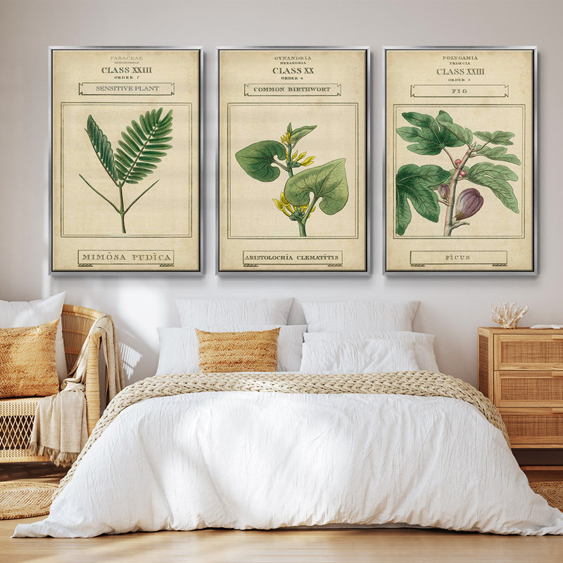 Linnaean Botany IV, ensemble de 3 toiles encadrées sur toile, H 36 po x l 72 po x P 2 po, Encadrement argenté