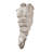 Alexander the Great Torso Wall Sculpture