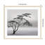 Tree Silhouette by Piet Flour-37872055-37872062
