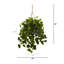 Panier suspendu Philodendron résistant aux rayons UV (intérieur / extérieur)