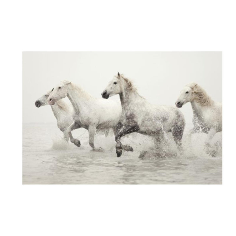 Escape Print by Irene Suchocki, 24" H x 36" W, Outdoor