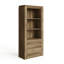 Allred 177.3 cm H x 79.2 cm W Standard Bookcase