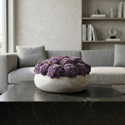 Sedum Arranged in a Stone Planter