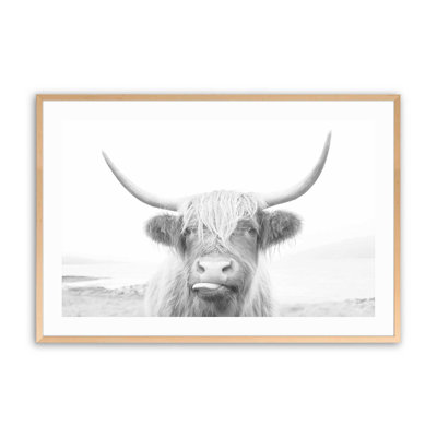 Imprimé de vache Highland ludique