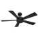 Wynd 5 - Blade Outdoor /Indoor Smart Ceiling Fan with Remote Control and LED Light Kit Included