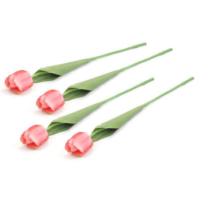 Tige de tulipes