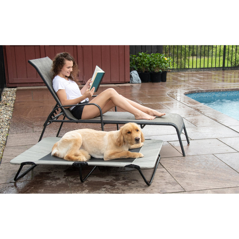 Nylon Pet Bed, 8.00" H x 35.00" W x 50.00" D, HARBOR GREY