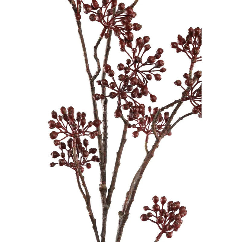 Berry 107cm Plant