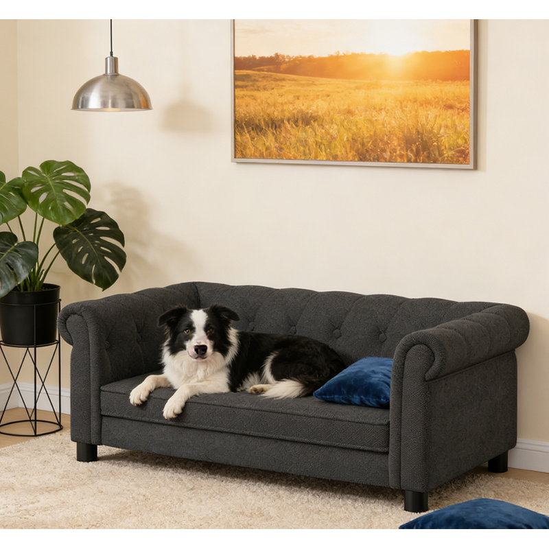 Durable Elevated Dog Sofa Bed, Black