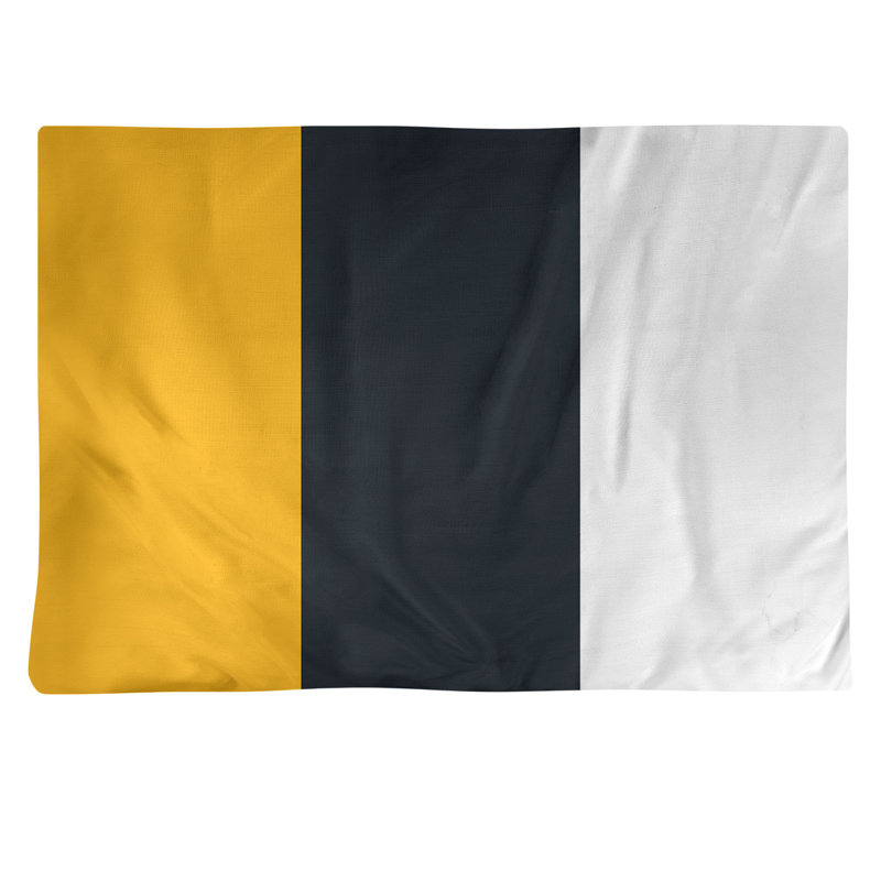 Récapitulatif 18" à rayures de football Pittsburgh, Noir