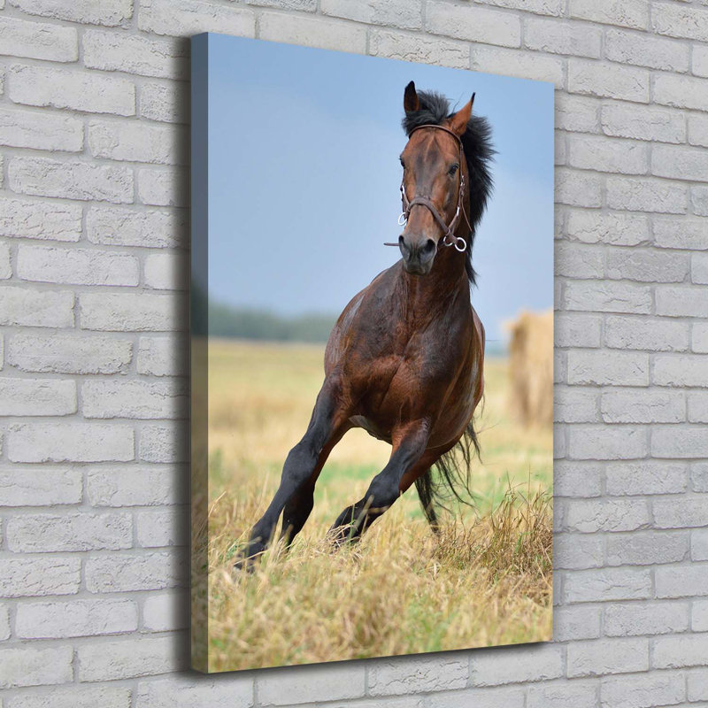 Horse On The Field - Wrapped Canvas Print