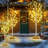 Lighted Trees & Branches