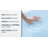 Sleep Philosophy Memory Foam Wedge Pillow
