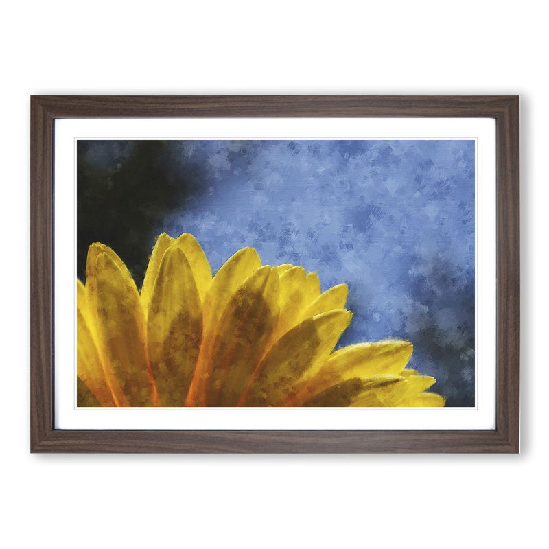 Yellow Daisy Flower - Picture Frame Graphic Art, 27cm H x 36cm W x 2cm D, Walnut Framed