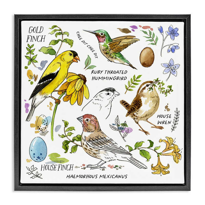 Art mural sur toile flottant encadré "local oiseaux" par Jane Maday, H 18 po x l 18 po, Cadre flottant gris lustré