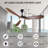 Ceiling Fan with LED Lights