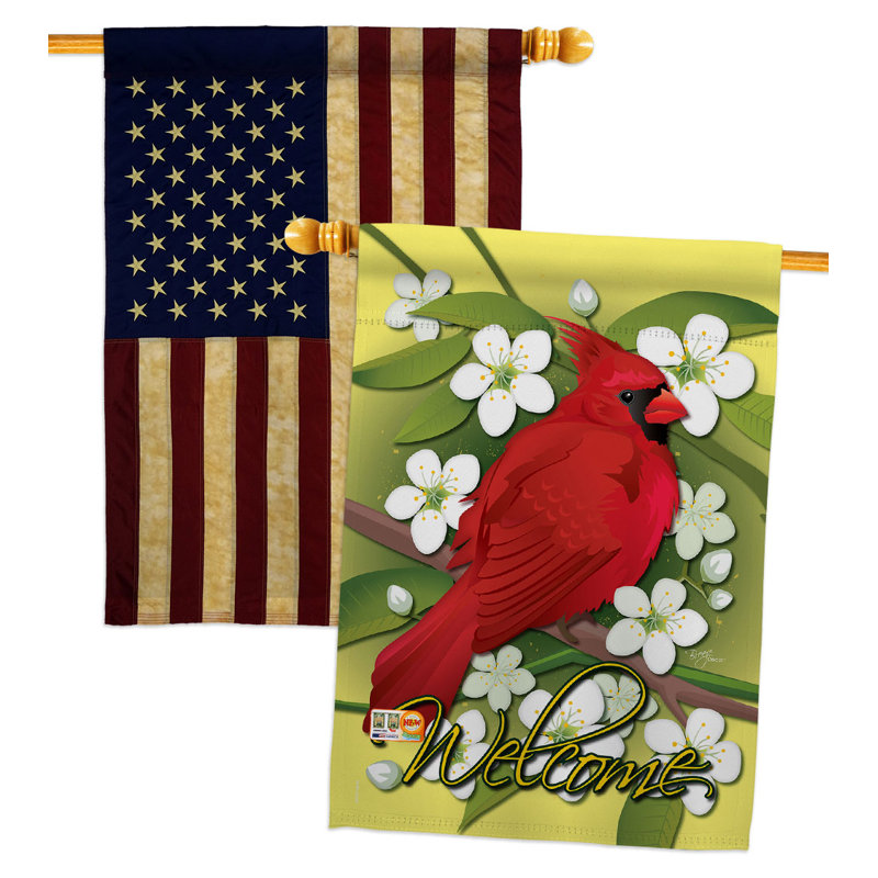 Drapeaux 40 x 28 pi