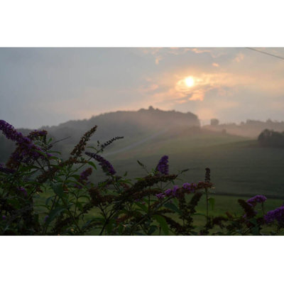Landscape & Nature Non-Wall Damaging Wall Decal