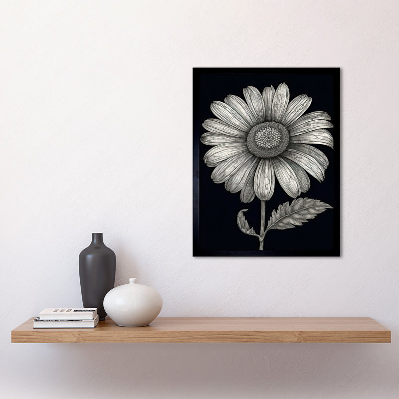 Pikus Daisy Flower Bloom Black And White Pencil Drawing - Single Picture Frame Print
