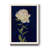 " Pretty As A Peony I "-1696496212-1696496301