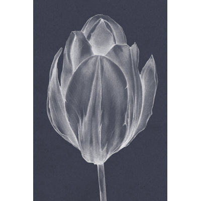 Monochrome Tulip I - Wrapped Canvas Print