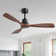 Kemp 48" 3-Walnut Solid Wood Blades Ceiling Fans With Remote and no Light