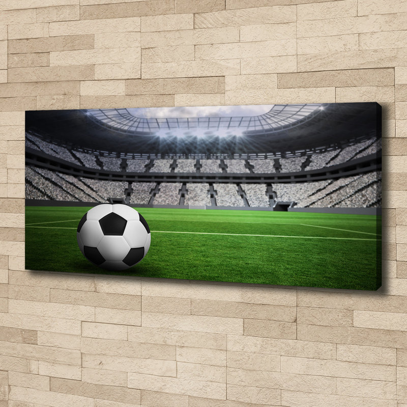 Ball In The Stadium - Wrapped Canvas Print