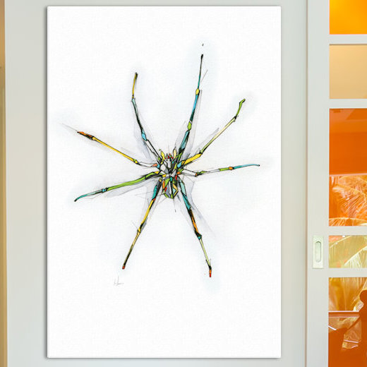 « spider », impression sur toile tendue, H 26 po x l 18 po x P 1,5 po, Toile tendue, Pas de tapis