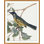 Glistening Bird 2 Painting by Lillian August