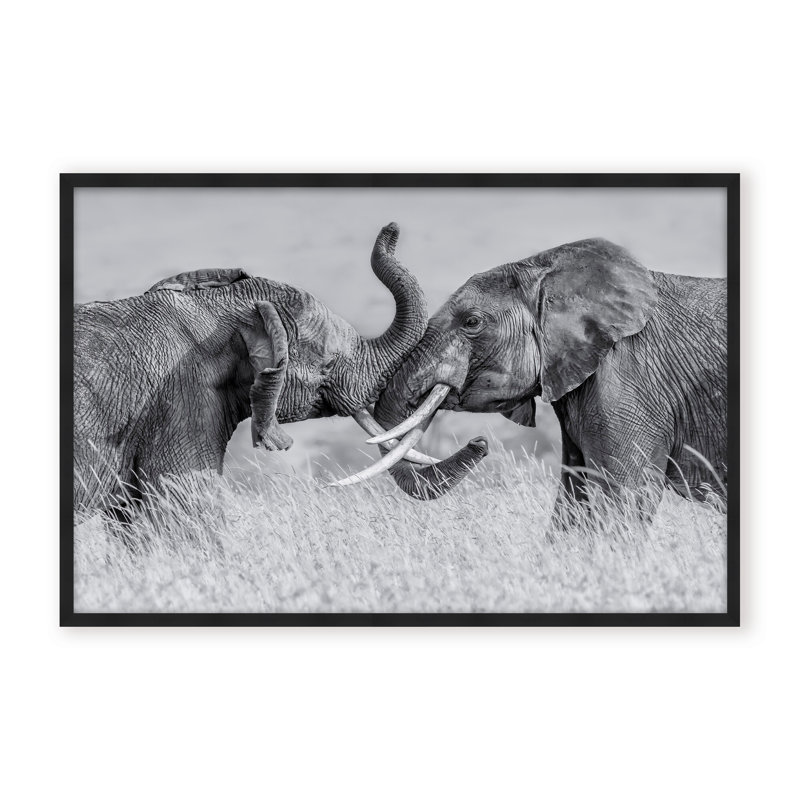 Nature Inspired Elephant Tai Chi by  - Picture Frame Photograph on Paper, 24" H x 36" W x 1.125" D, Black