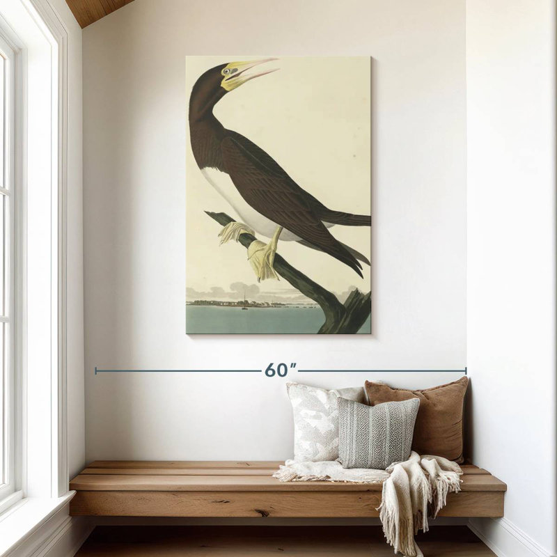 Brampt Booby Gannet, 45" H x 30" W